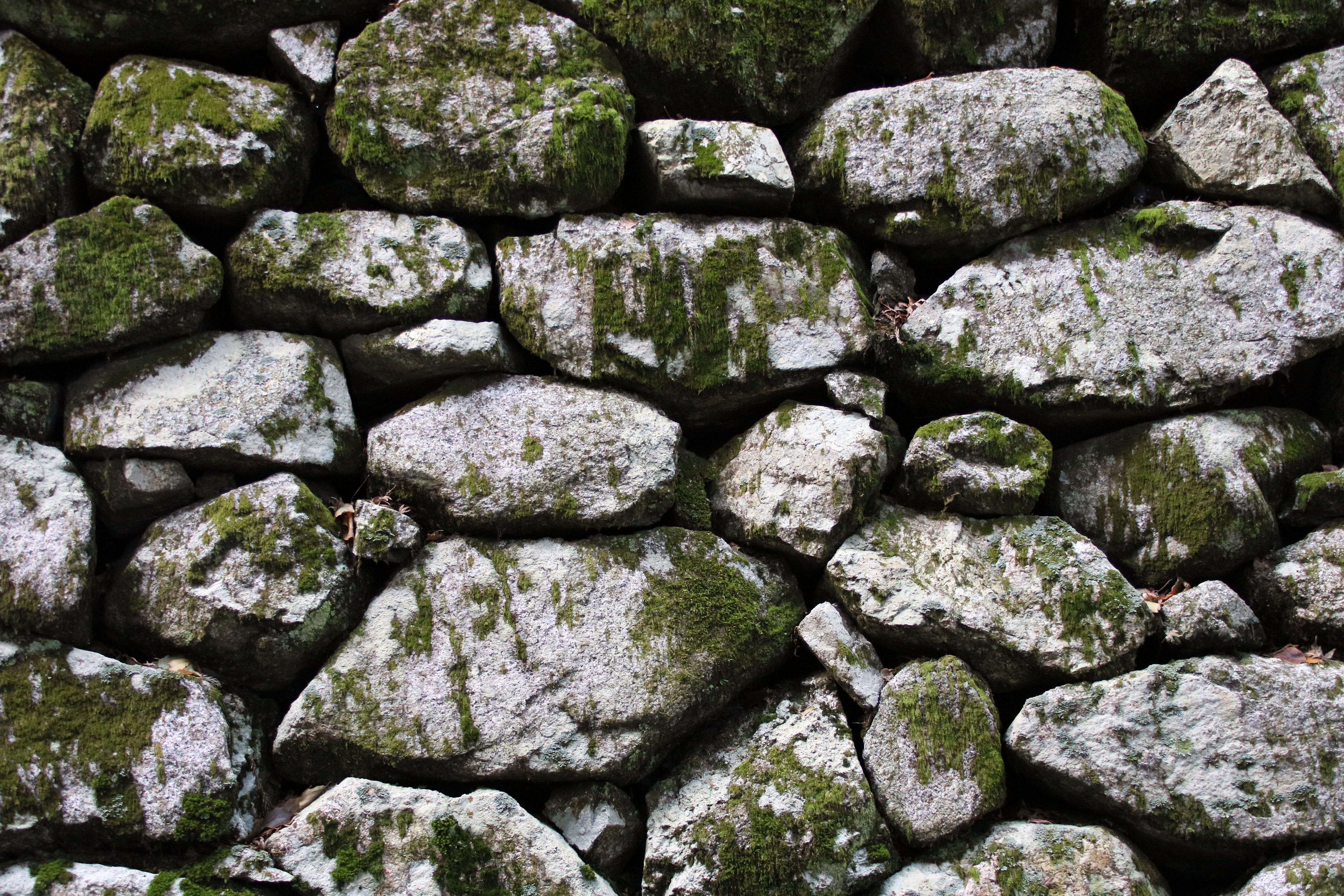 Со stone. Замшелый булыжник. Замшелый булыжник стена. Текстура камня. Стена из валунов.