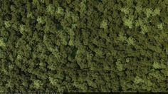 Лес вид сверху для генплана