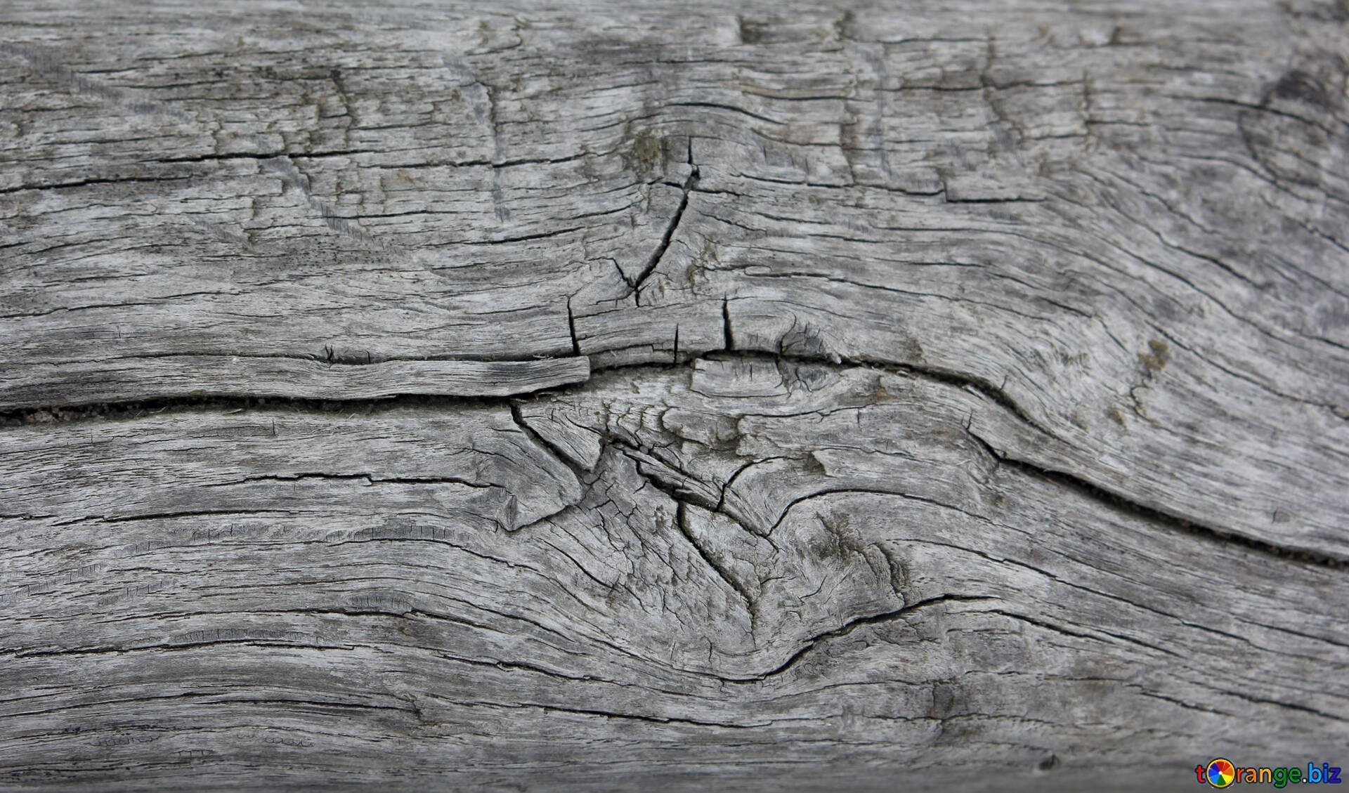 Трещина в доске. Трещина в дереве. Трещины древесины. Текстура дерева с трещинами.