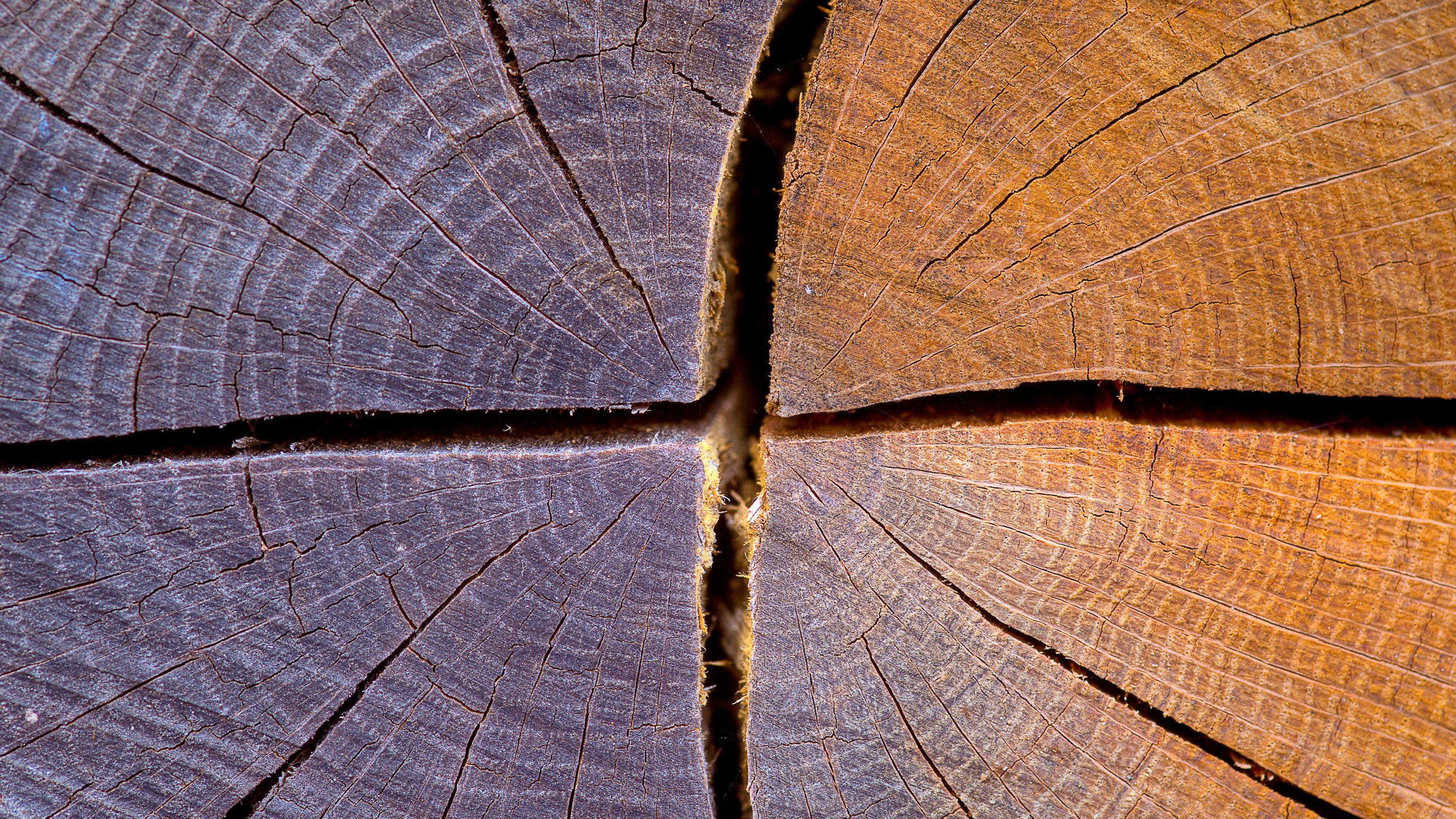 Трещины в стволе дерева. Трещины усушки древесины. Трещина в дереве. Фактура дерева. Текстура древесины.