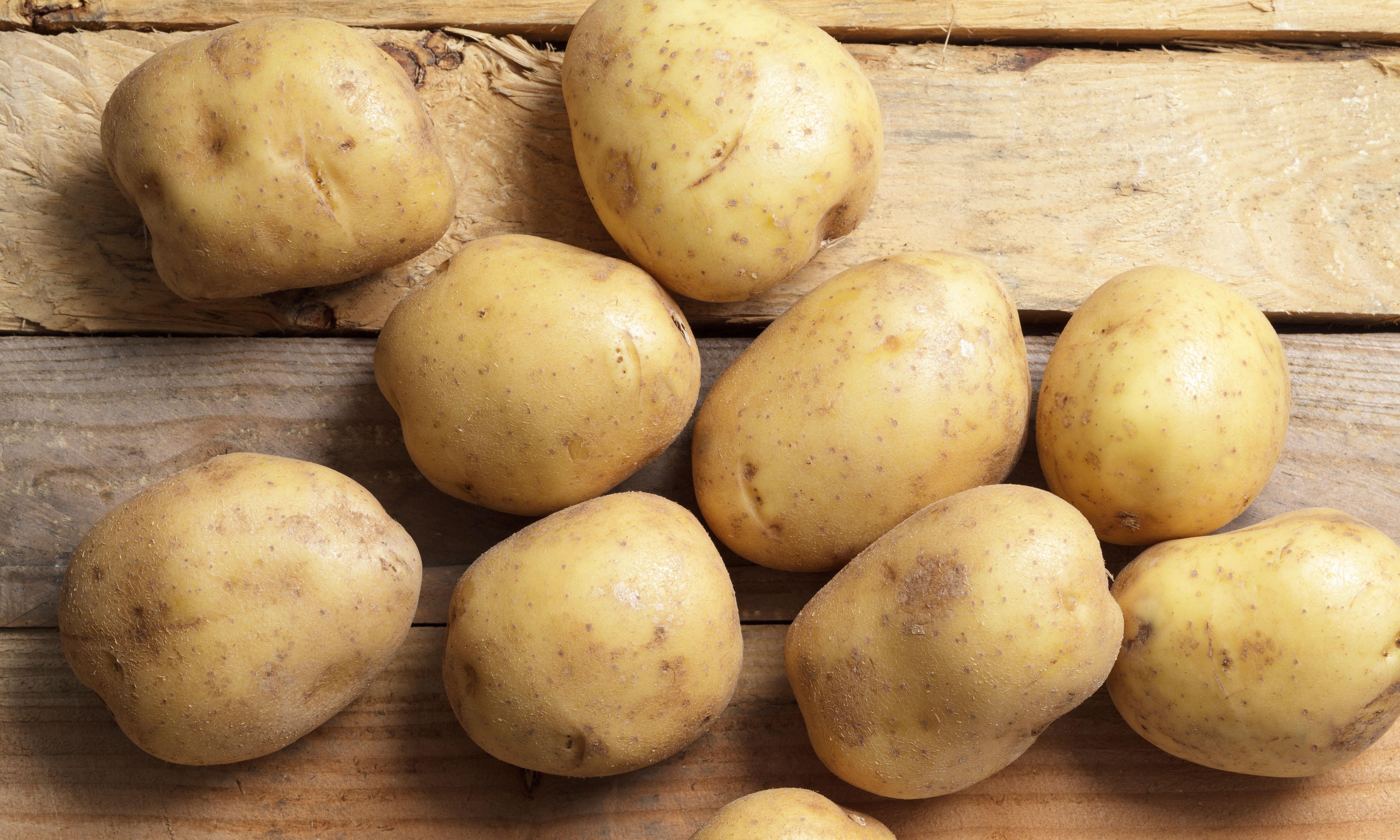 Куча картошки. Картофель Артемис. Много картофеля. Семенной картофель. Горный картофель.