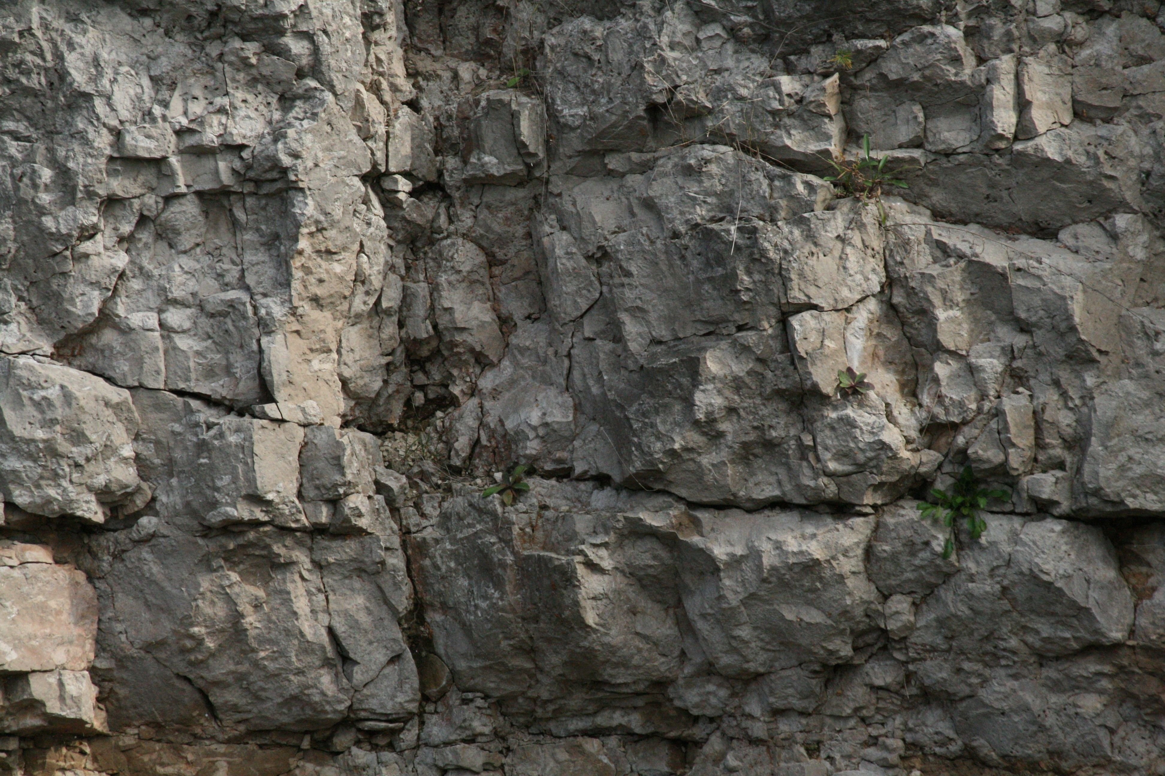 Рельеф скалы. Каменная скала. Скальная стена. Каменная стена в пещере. Стена скала.