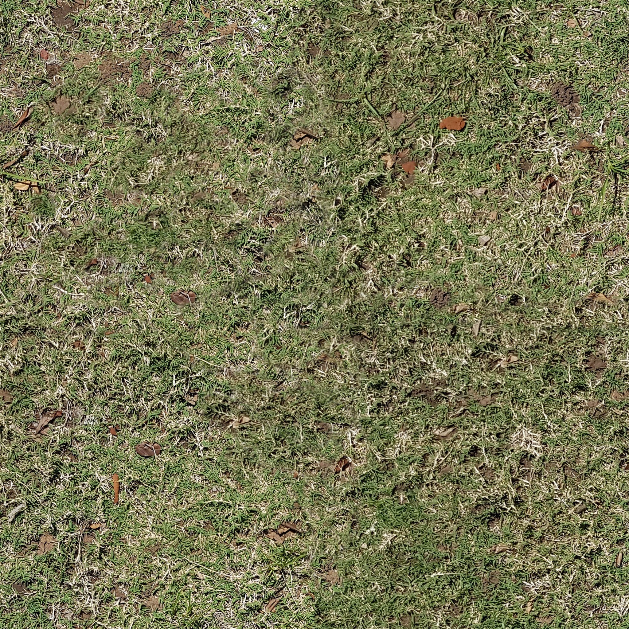 Шероховатая поверхность травы