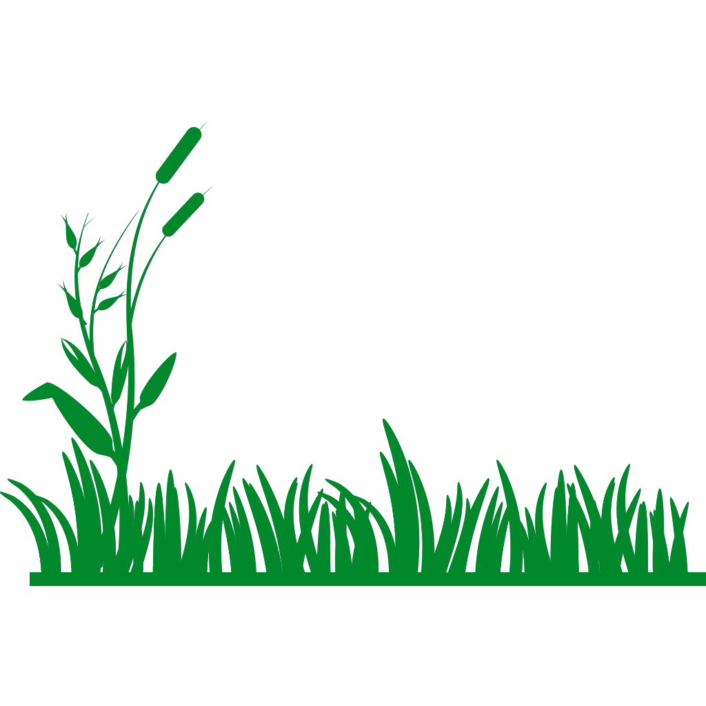 Трава шаблон. Трава контур. Значок травы. Трава векторное изображение. Трава пиктограмма.