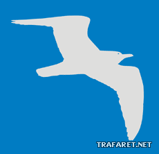 Чайка трафарет