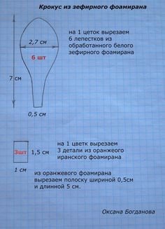 Шаблон лепестков крокуса