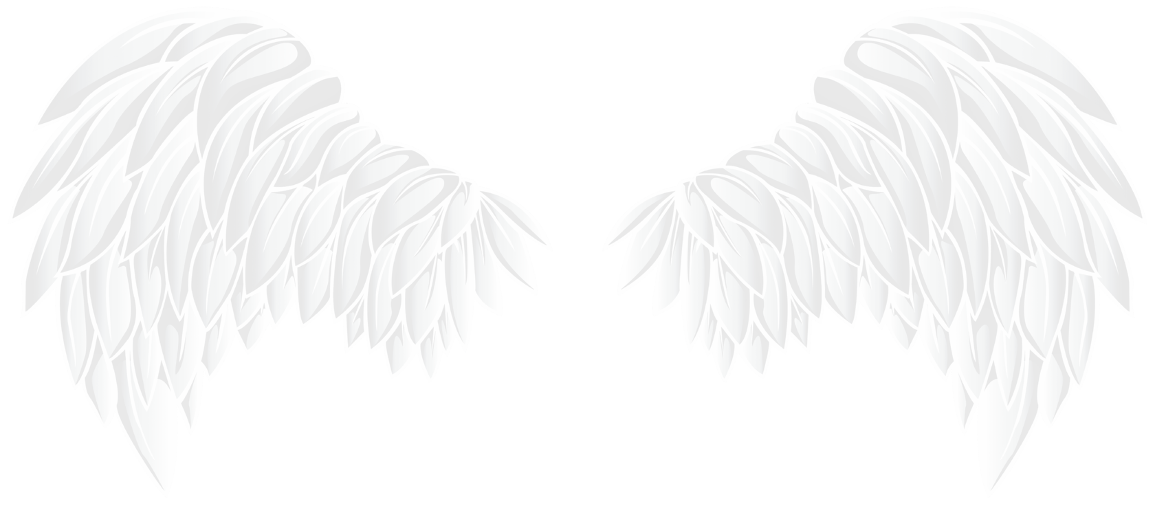 Белый рисунок на прозрачном фоне. Крылья ангела. Крылья на прозрачном фоне. Крылья ангела для фотошопа. Белые Крылья на прозрачном фоне.