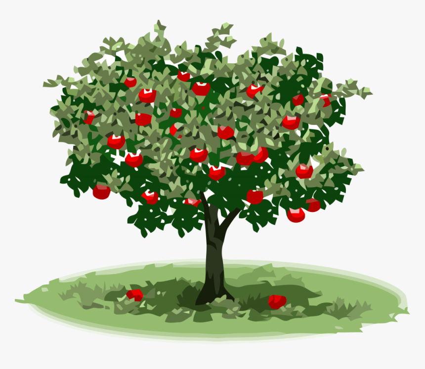 Яблони огэ. Яблоневый сад. Яблоня на белом фоне. Яблоня для детей. Яблоня для дошкольников.