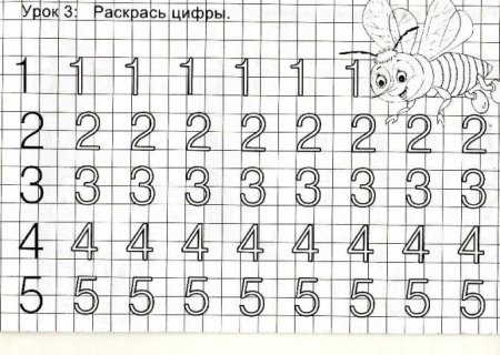 Прописи цифр 1.2.3 для дошкольников