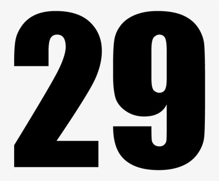 Цифра 29