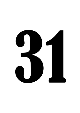Цифра 31