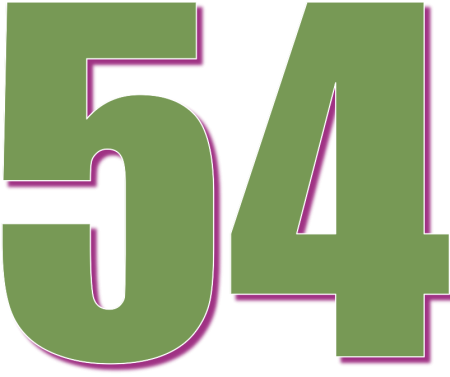 Цифра 54