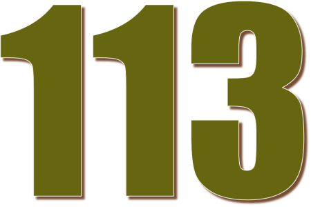 Цифра 113 картинки