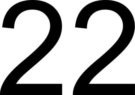 Цифра 22