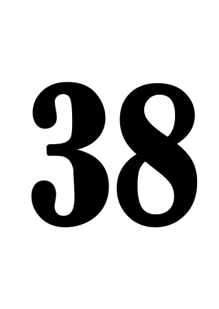 38 Число
