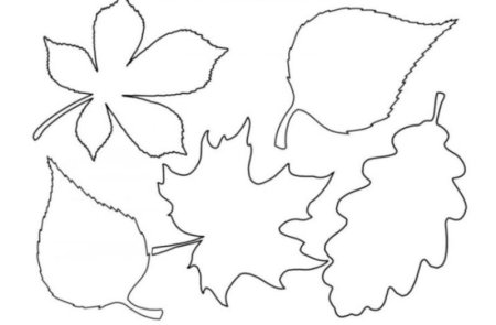 Трафареты "листья"
