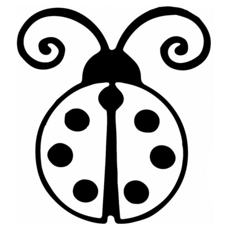 Божьи коровки