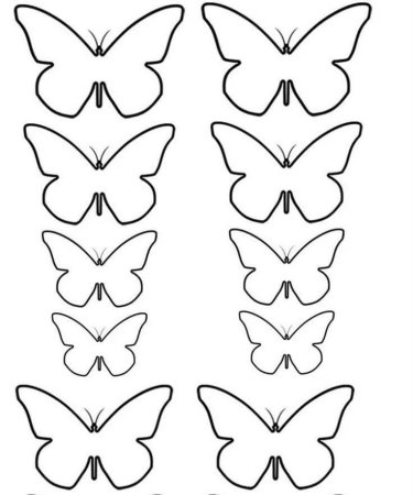 Трафареты бабочки