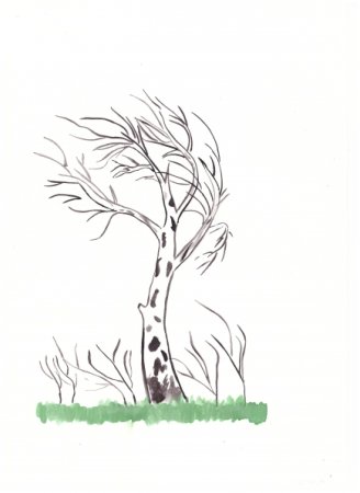 Дерево береза для ДОУ