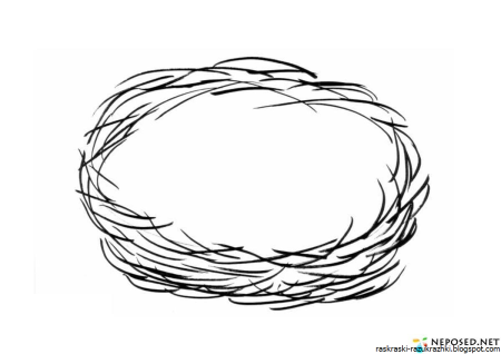 Гнездо раскраска для детей