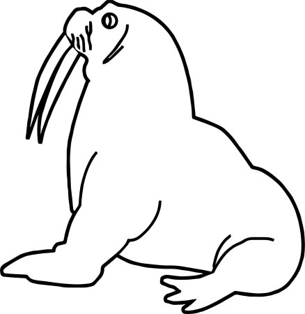 Трафарет моржа для детей (48 фото)