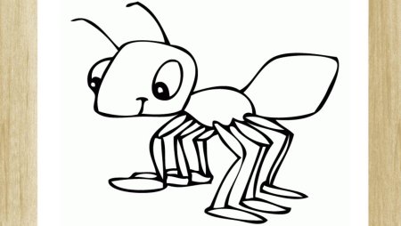 Ant раскраска