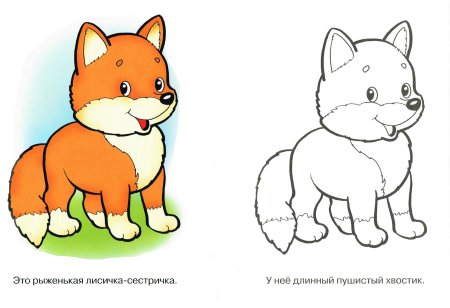 Раскраска лиса