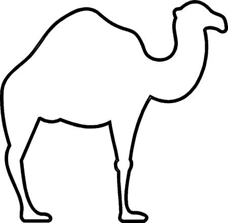 Верблюд эскиз