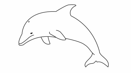 Дельфин рисунок карандашом
