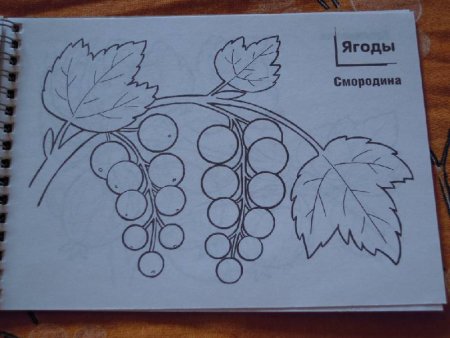 Лист смородины трафарет
