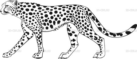 Трафарет леопарда для детей (46 фото)