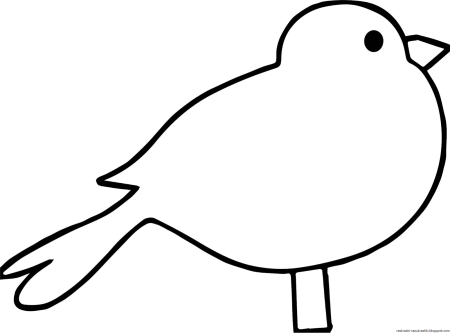 Птицы раскраска для детей