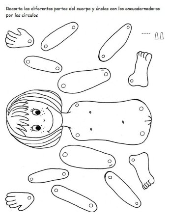 Части тела человека раскраска