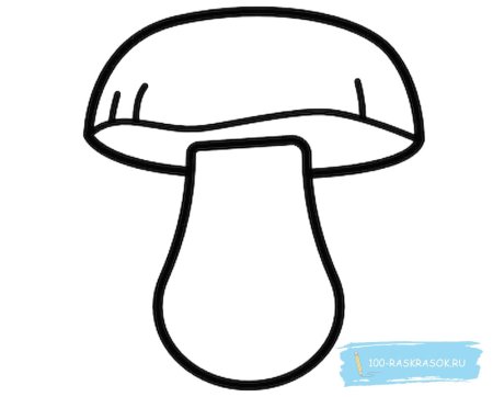 Грибы раскраска для детей