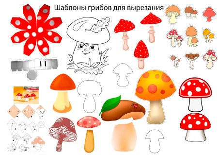 Аппликация грибы