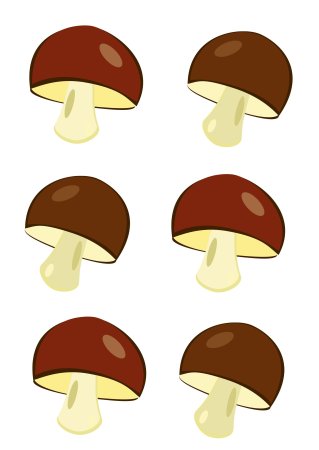 «Грибы для белки» (Комарова, с.36)