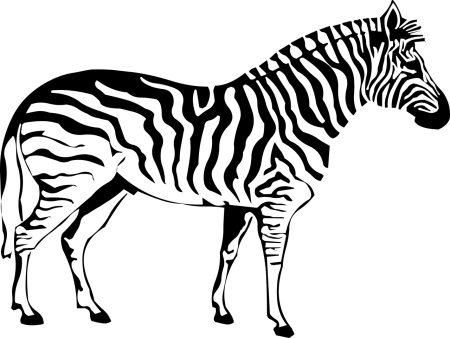 Зайко Зеба