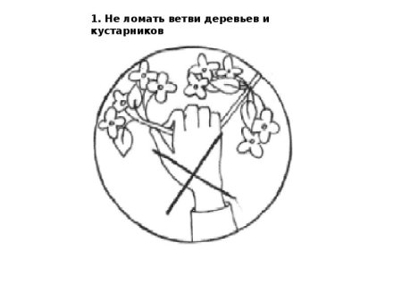 Экологические знаки для детей раскраски