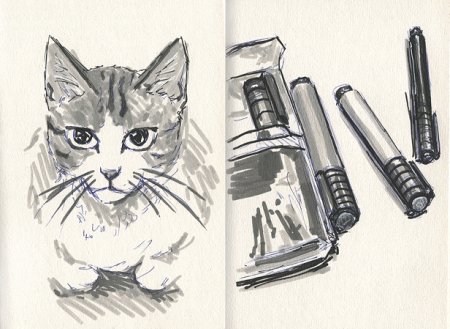 Скетчинг коты