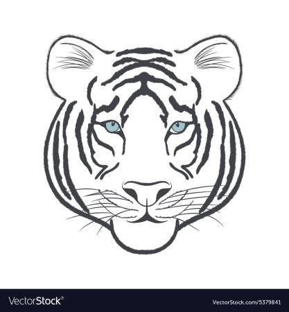 Трафарет морды тигра для детей (49 фото)