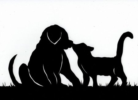 Силуэт кошки и собаки