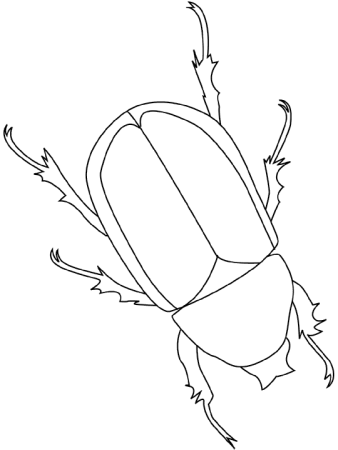 Трафарет насекомых для рисования для детей (48 фото)