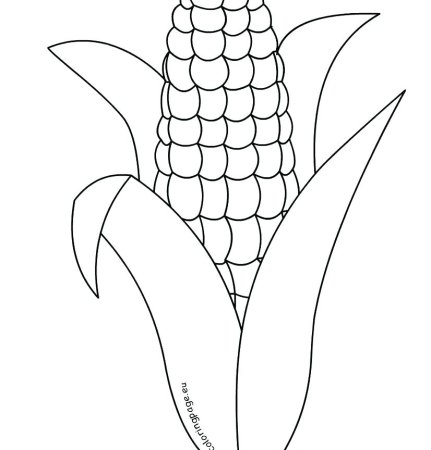 Кукуруза раскраска