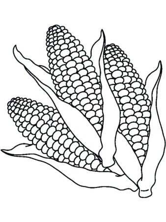 Кукуруза рисунок