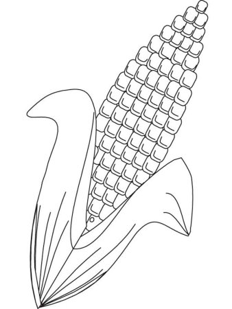 Кукуруза эскиз