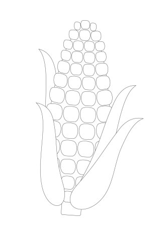 Кукуруза эскиз