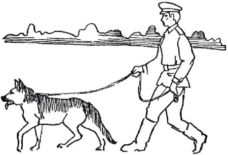 Раскраска пограничник
