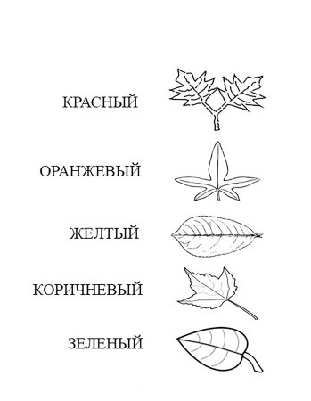 Листья деревьев раскраска