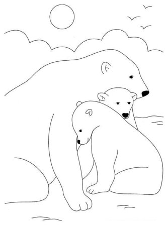Белый медведь рисунок