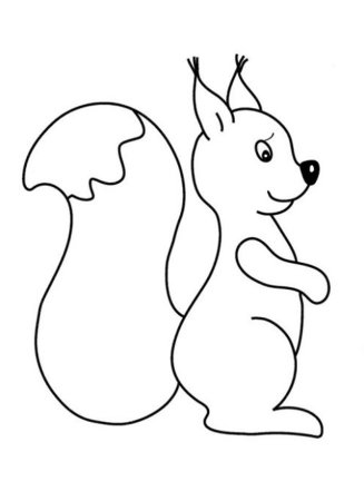 Раскраска Белочка